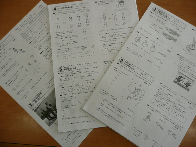 2013年1月28日