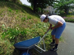 働き者の６年生