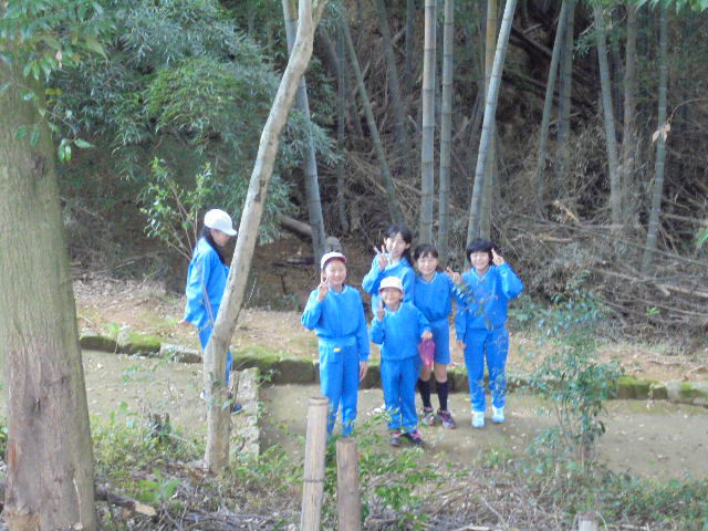 DSC00311