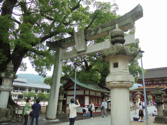 DSC00466
