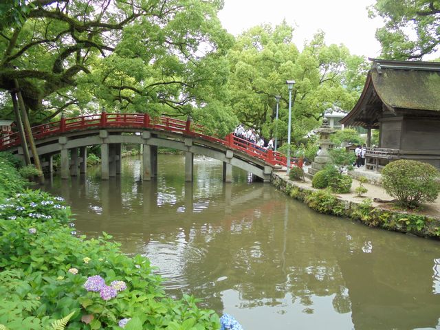 DSC00487