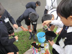 花の植え替え