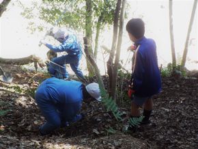 ６年生の山整備