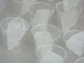 DSCF5372