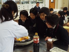 DSCF7946a
