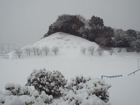 雪景色