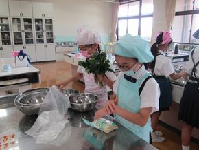 IMG_2787