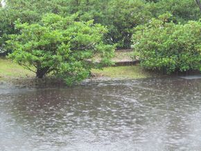 またしても大雨