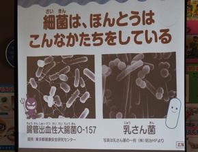 「手洗い・うがい教室【明治乳業】｣　　　(2・3年生)