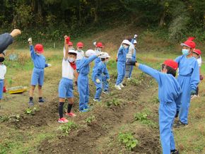 ごろごろお芋がザックザク　　　　　（２年生－生活科）