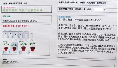 パソコンを使ってまとめよう！　　　　　　（6年生ー情報教育）