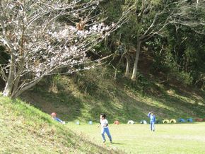 桜の開花と子ども達！