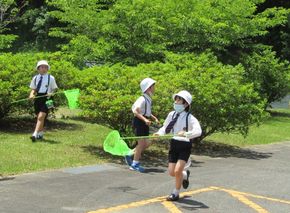 昆虫をさがせ！（３年生ー理科）