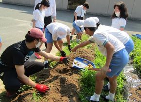 じゃやがいもゴロゴロ（６年生ー理科）