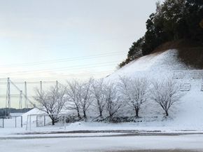 冷たく寒い雪の朝･･･でも,子ども達は！