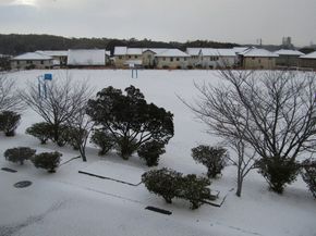 白くて冷たい学校の朝！