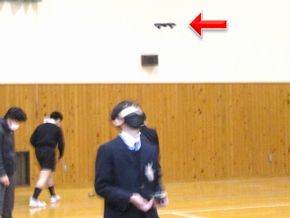 図29
