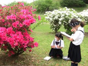 生き物をよく見て！（３年生－理科）