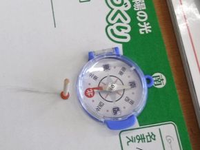 地面の様子と太陽（３年生ー理科）