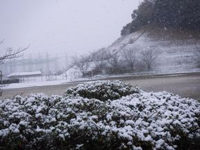 学校は雪景色