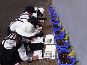 ミニトマトやお芋、楽しみだね！（２年生－生活科）