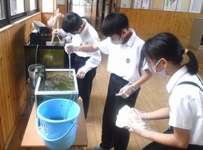 全校みんなのために！（委員会活動ー４・５・６年生）