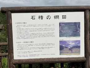 図2