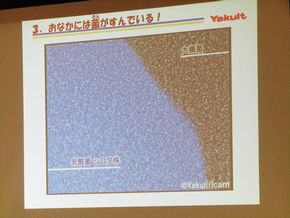 図6