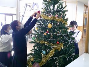 クリスマスツリーを飾ろう！