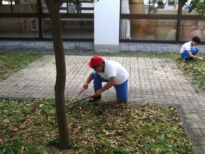 委員会活動（４・５・６年生）