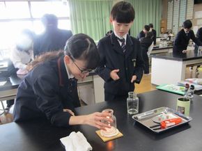 ものの燃え方【先取り授業】（５年生－理科）