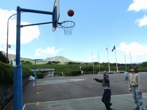 図34